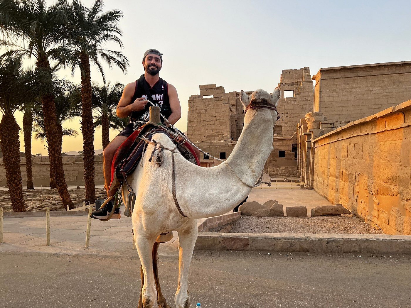 Camel or Horse Ride in Luxor