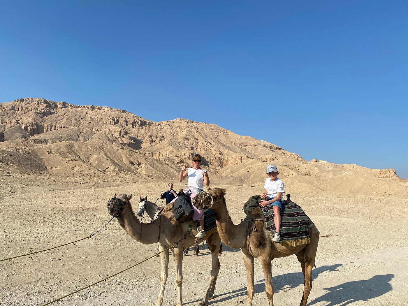 Camel or Horse Ride in Luxor