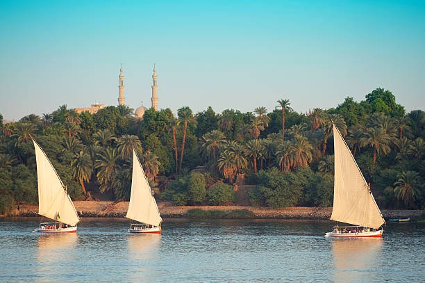 Enchanted Egypt Trips
