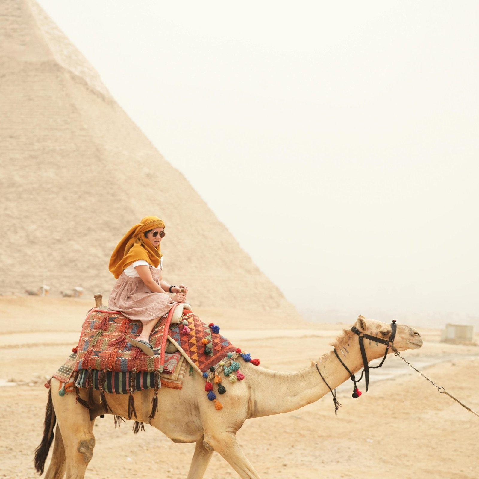 Enchanted Egypt Trips