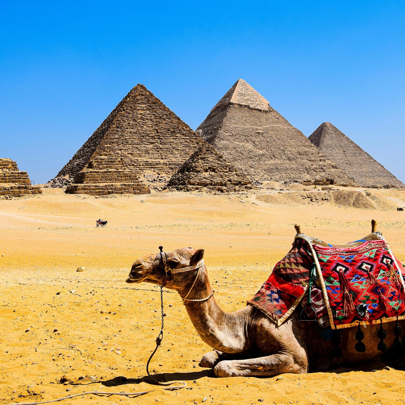 Enchanted Egypt Trips