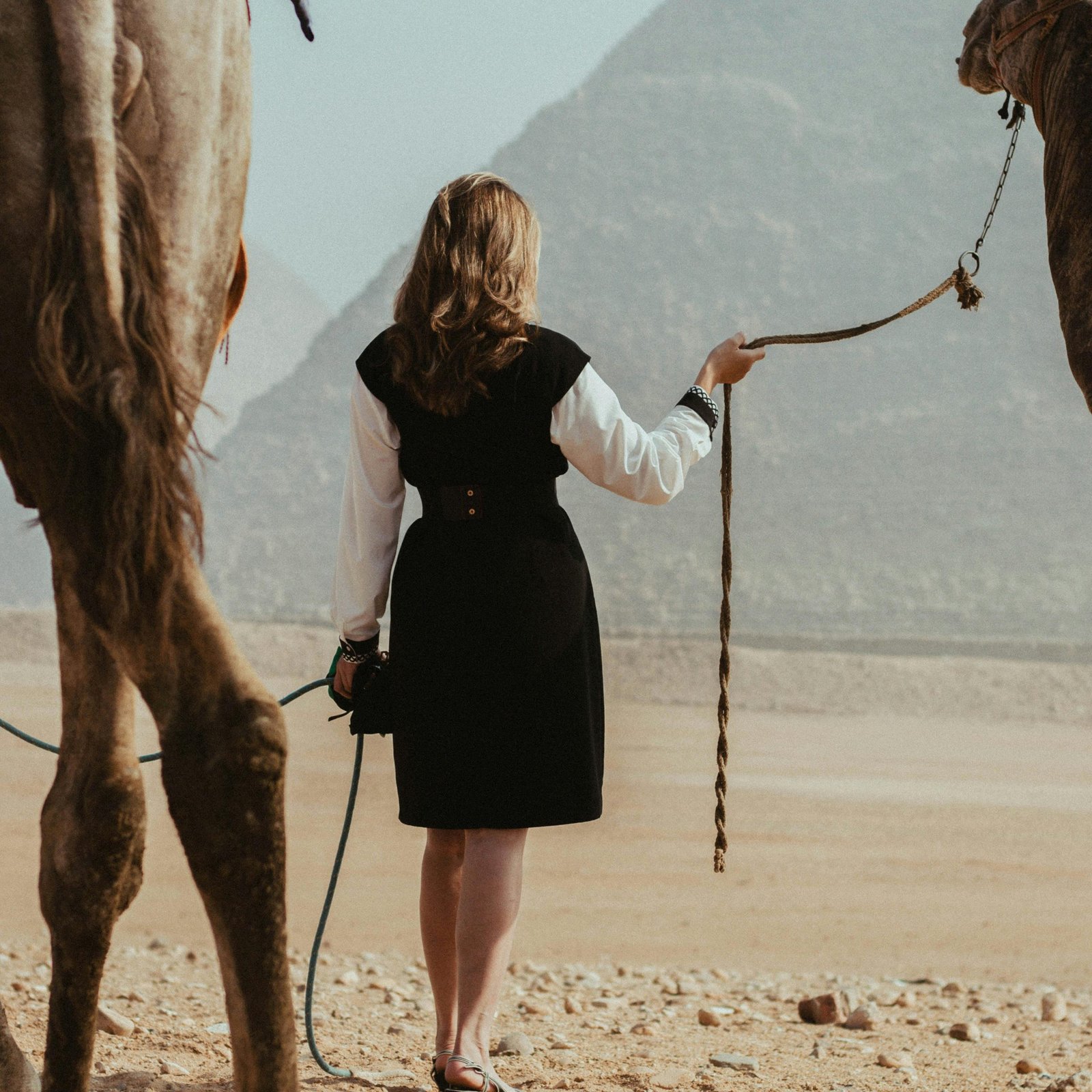 Enchanted Egypt Trips