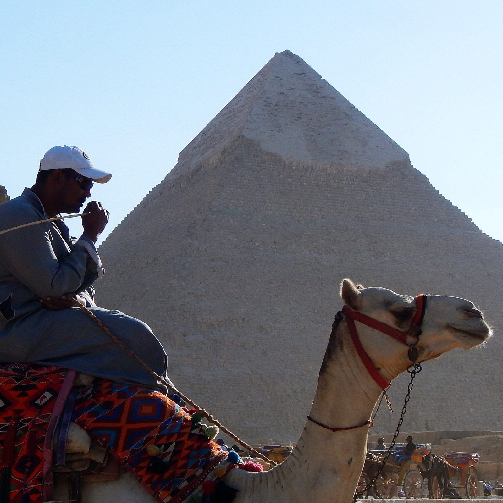 Enchanted Egypt Trips